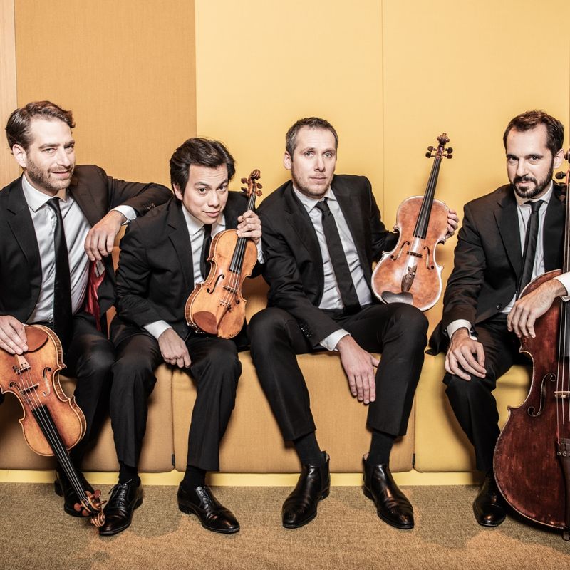 MelleMeivogel_Hydra_ensemble-26klein